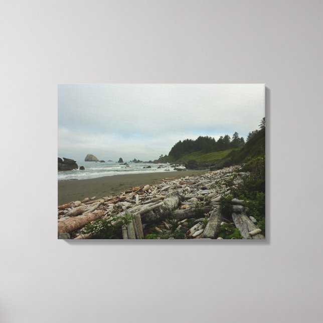 Toile Plage cachée I du parc national de Redwood (Recto)
