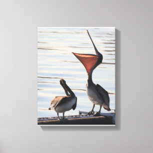 Toile Plage d'animaux de faune d'oiseaux de pélican