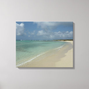 Toile Plage d'Aruba II Magnifique paysage naturel
