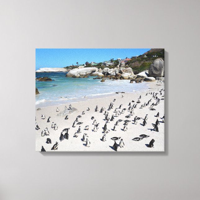 Toile Plage de Penguins Boulders | Afrique du Sud (Recto)