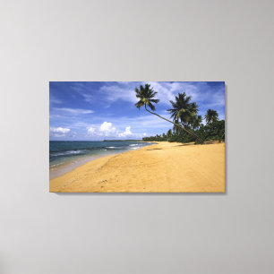 Toile Plage Porto Rico