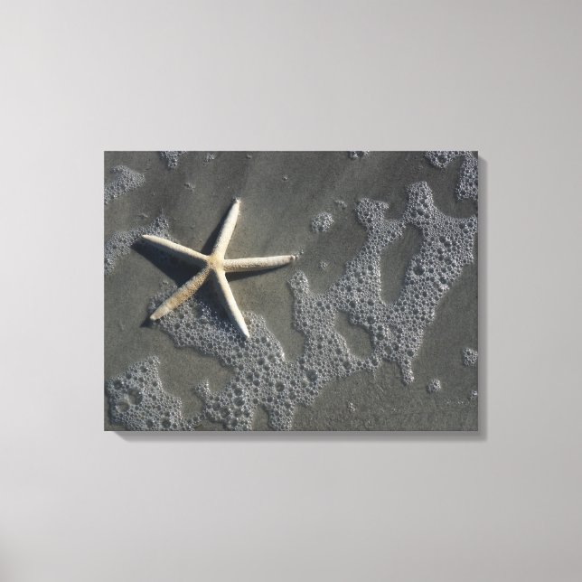 Toile Plage Starfish Canvas (Recto)