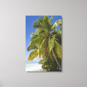 Toile Plage sur l'île One Foot, Aitutaki, Îles Cook