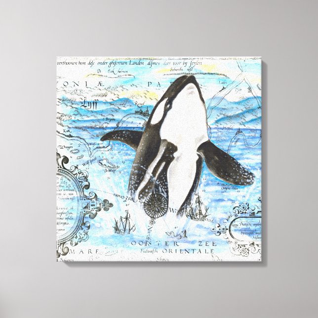 Toile Plan Breaching Orca (Recto)