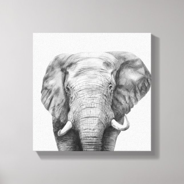 Toile Plan de sauvegarde IV (Recto)