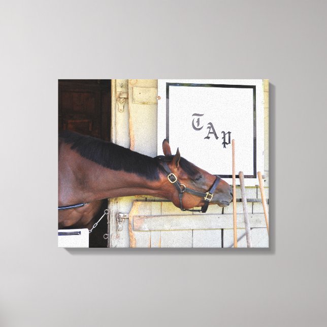 Toile Plan directeur (Recto)