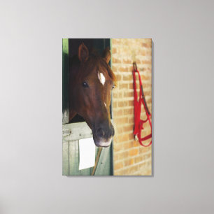 Toile Plan rapproché d'un cheval 2