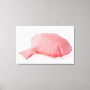 Toile Plan rapproché d'un coussin de whoopee
