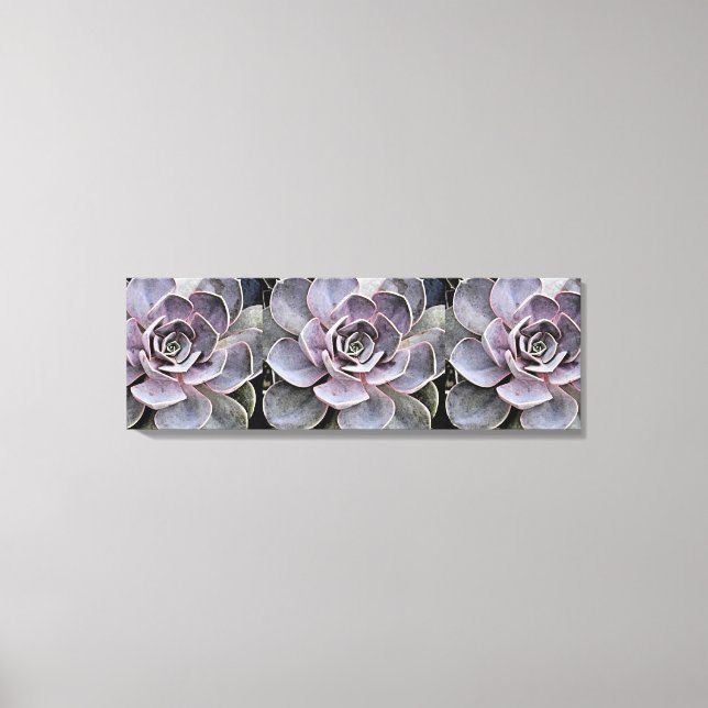 Toile Plan Succulent "Rose" d'Echeverie gris-bleu (Recto)