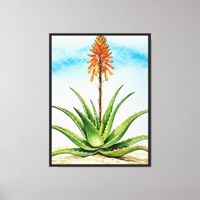 Toile Plante d'aloès vera (Recto)