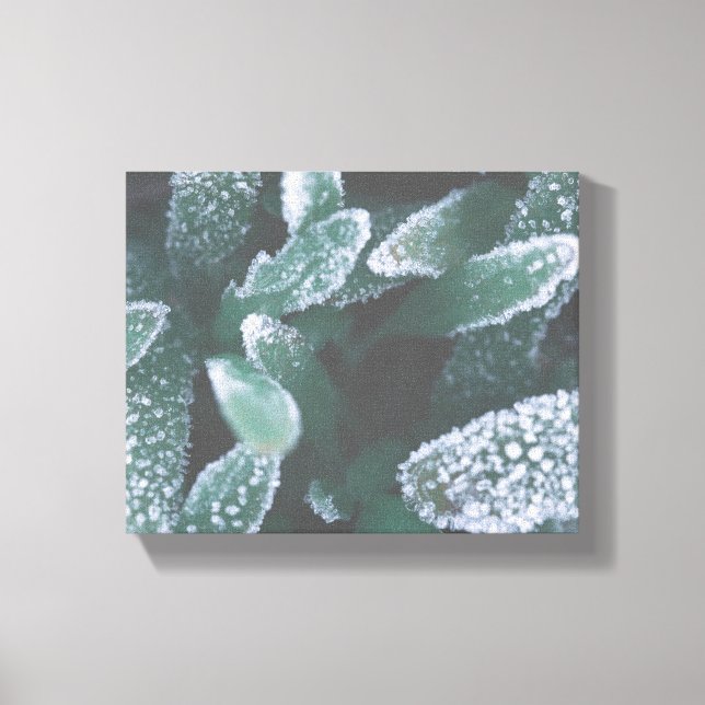 Toile Plante de feuilles vertes Gazon givré (Recto)