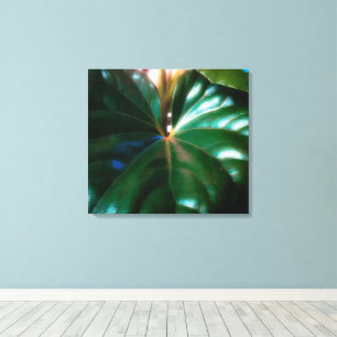 Toile Plante de siège du tracteur