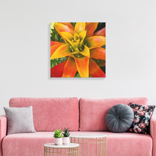 Toile Plante florale de bromélie Guzmania (Insitu(Salon))