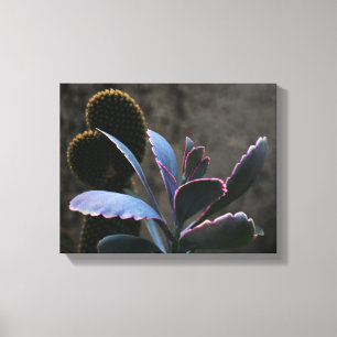 Toile Plantes du désert