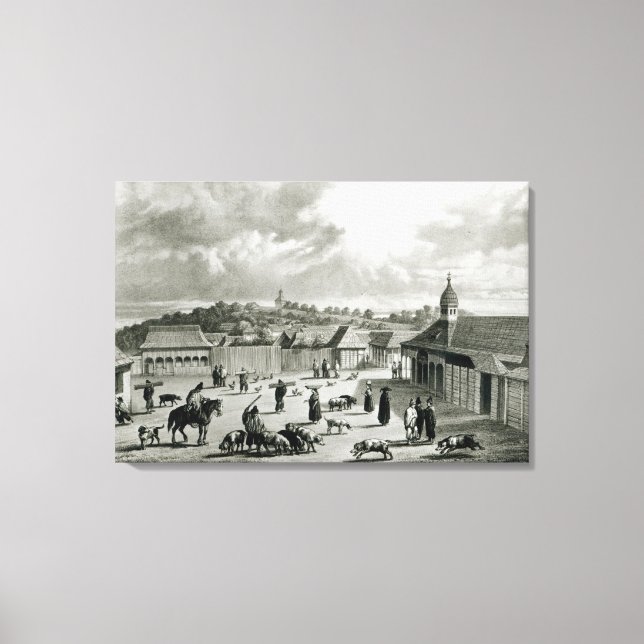 Toile Plaza de San-Carlos de Chiloe, 1835 ] (Recto)