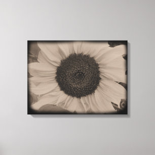 Toile Plein visage de tournesol dans Diatrope
