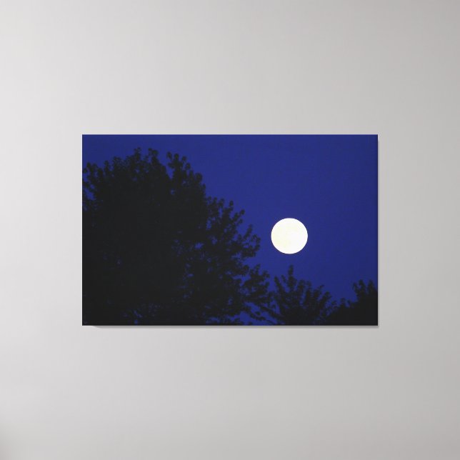Toile Pleine lune avec arbres et ciel bleu (Recto)