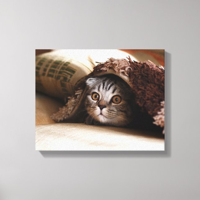 Toile Plier de chat écossais Brown dans une couverture b (Recto)