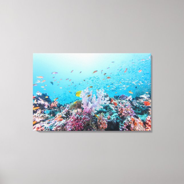 Toile Plongée Avec Barrière Colorée Et Corail (Recto)