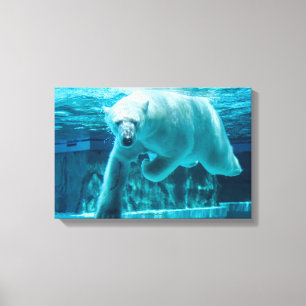 Toile Plongeon d'ours polaire dans l'eau claire bleue (p