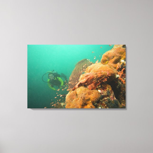 Toile plongeur & Scorpionfish Scorpanopsis (Recto)