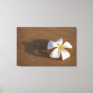 Toile Plumeria sur la plage de sable, Maui, Hawaii, Éta