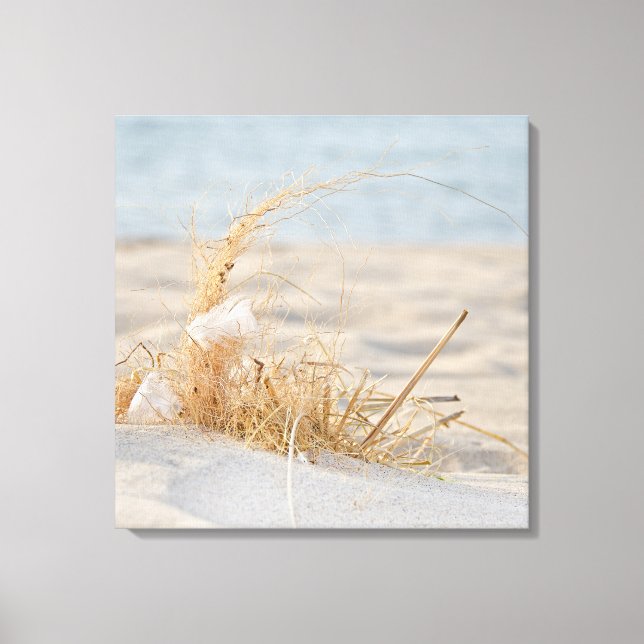 Toile Plumes blanches dans l'herbe de plage (Recto)