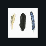 Toile Plumes douces I<br><div class="desc">Profitez de cette aquarelle créative fraîche sur un produit ou une pièce murale pour améliorer et ajouter au monde autour de vous. Artiste : Grace Popp</div>