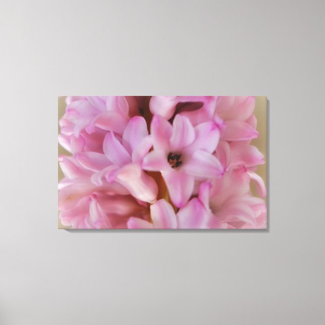 Toile Plutôt rose Hyacinth Spring Flower Canvas Art (Recto)