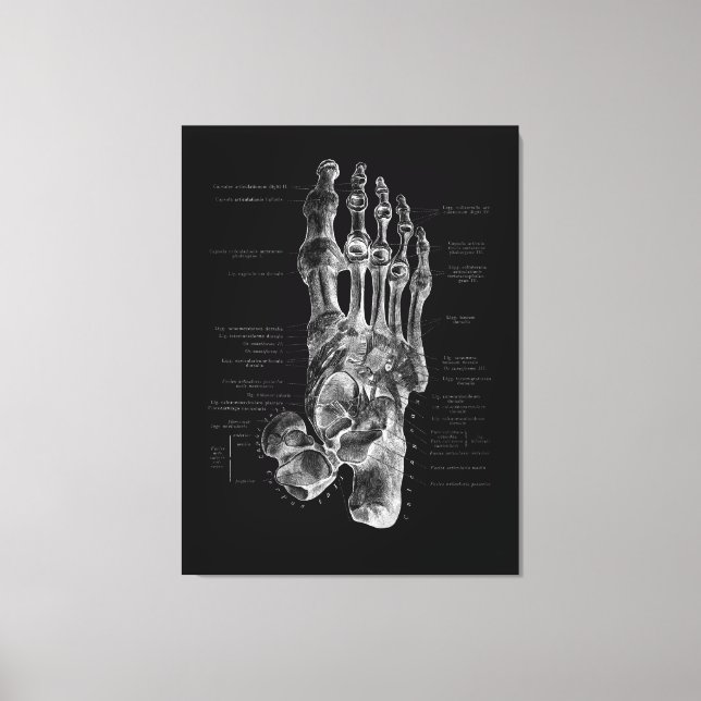Toile Podiatriste de l'anatomie du pied Poster Médicale (Recto)