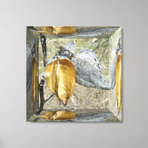 Toile Pods Milkweed - Boîte à miroir