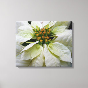 Toile Poinsettia Elegant Christmas Holiday Floral