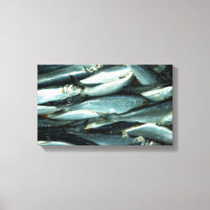 Toile Poisson