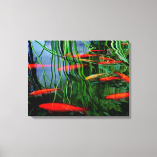 Toile Poisson