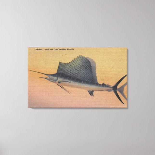 Toile Poisson de mer de Gulf Stream, Floride (Recto)