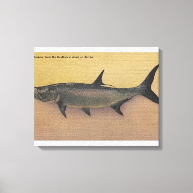 Toile Poisson de Tarpon de la côte sud de FlorideFloride (Recto)