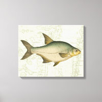 Poisson d'eau douce sur la carte