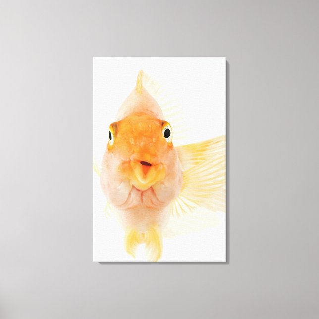 Toile Poisson d'eau douce tropicale (Recto)