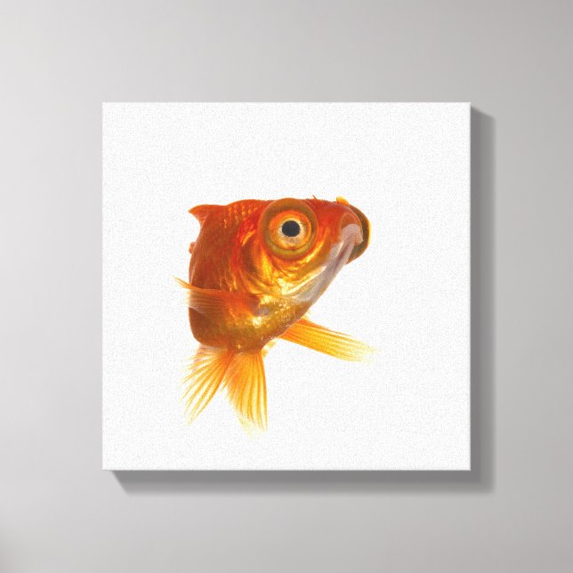 Toile Poisson d'or aux grands yeux 3 (Recto)
