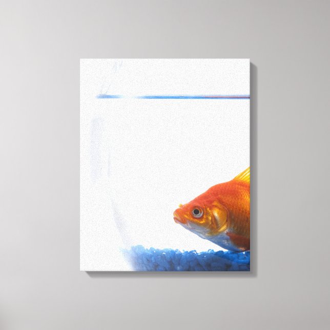 Toile Poisson d'or dans un bol sur arrière - plan blanc (Recto)