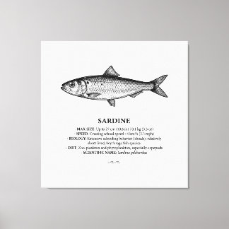 Toile Poisson Grégaire Sardine Vintage