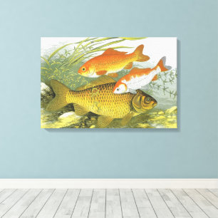 Toile Poisson Koï Carpe Rouge, Vieille Marine Vie Aquati