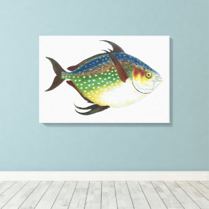 Toile Poisson lunaire tropical, Poisson aquatique marin 