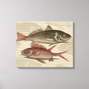 Toile Poisson Perche rouge Art pêcheur