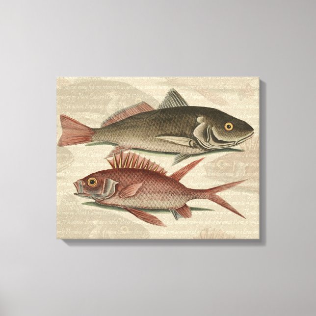Toile Poisson Perche Rouge Pêcheur d'Art (Recto)
