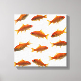 Toile Poisson rouge