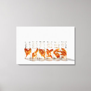 Toile Poisson rouge 7