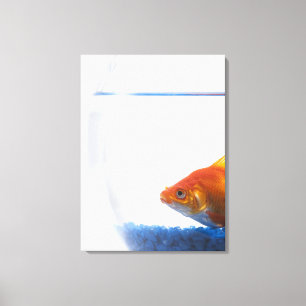 Toile Poisson rouge dans la cuvette sur l'arrière - pla