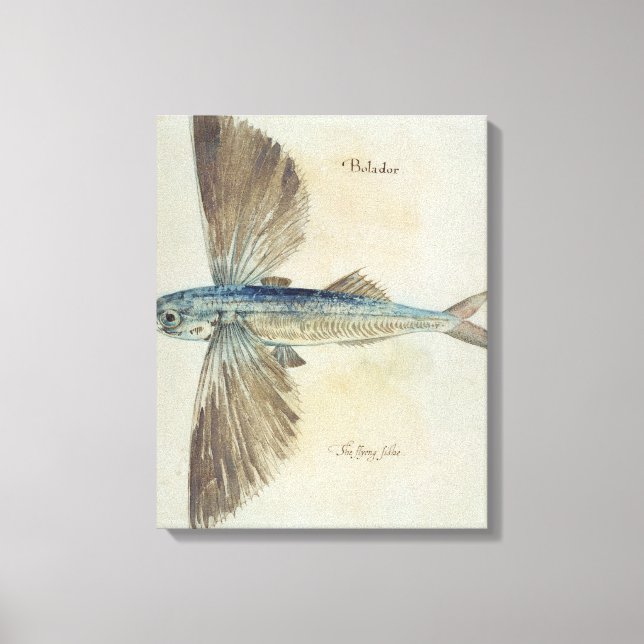 Toile Poisson volant (Recto)