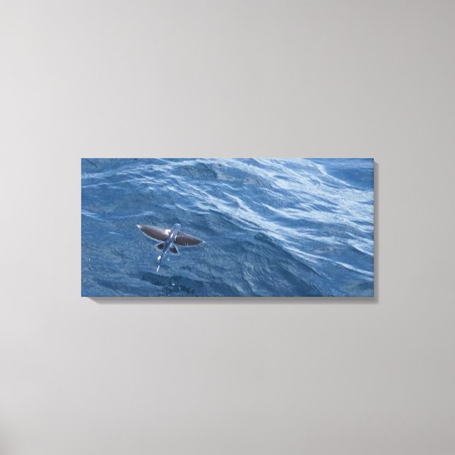 Toile Poisson Volant (Recto)